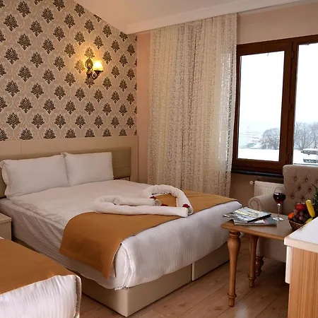 Ethnica Old מלון 2*