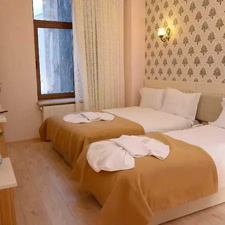 מלון Ethnica Old 2*