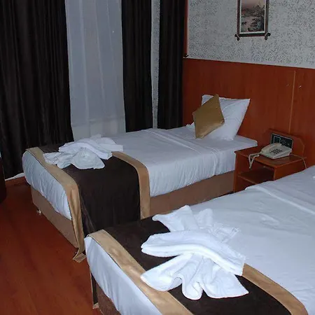 호텔 Ethnica Old 이스탄불