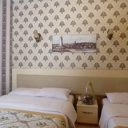 호텔 Ethnica Old 2*