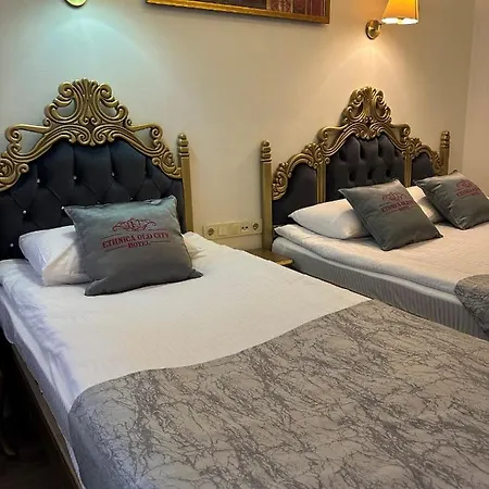 Ethnica Old 2* Istanbul